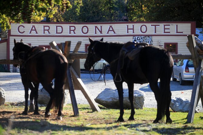 Cardrona High Country Pub Trail Horse Trek (Intermediate level+) - Is $433.78 good value?