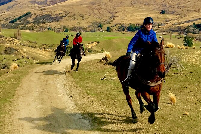Cardrona High Country Pub Trail Horse Trek (Intermediate level+) - Who should book this ride?