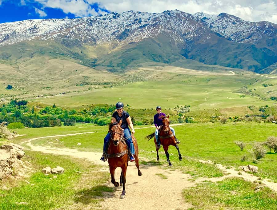 Cardrona Valley: Horse Trekking Experience - Key points for your Cardrona ride