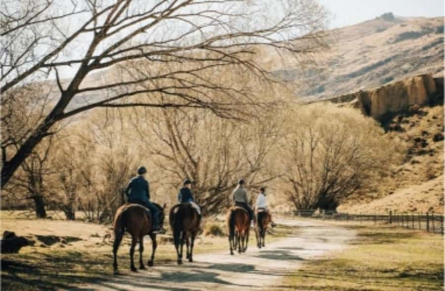 Cardrona Valley: Horse Trekking Experience - The lesson that sets up the trail