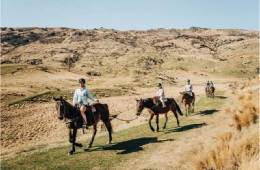 Cardrona Valley: Horse Trekking Experience - Loose reins, faster riding, and honest expectations