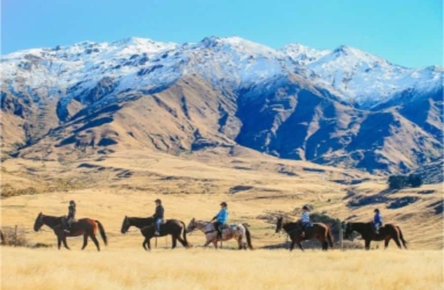 Cardrona Valley: Horse Trekking Experience - The guides can shape the whole ride