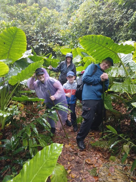 Cat Ba National Park Full Day Guide Tour Trekking & Kayaking - The Final Trail to Viet Hai Village