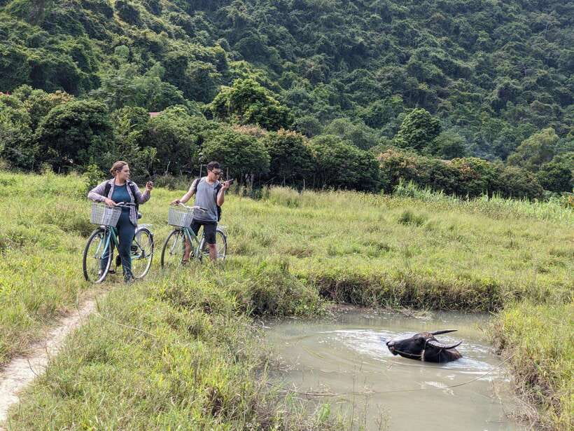 Cat Ba National Park Trekking & Ancient Village Biking - A full day across Cat Ba by four kinds of transport