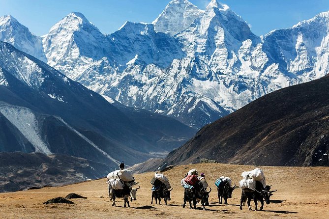 Cheapest Everest Base Camp Trek from Kathmandu - Day 8: Everest Base Camp, the main goal