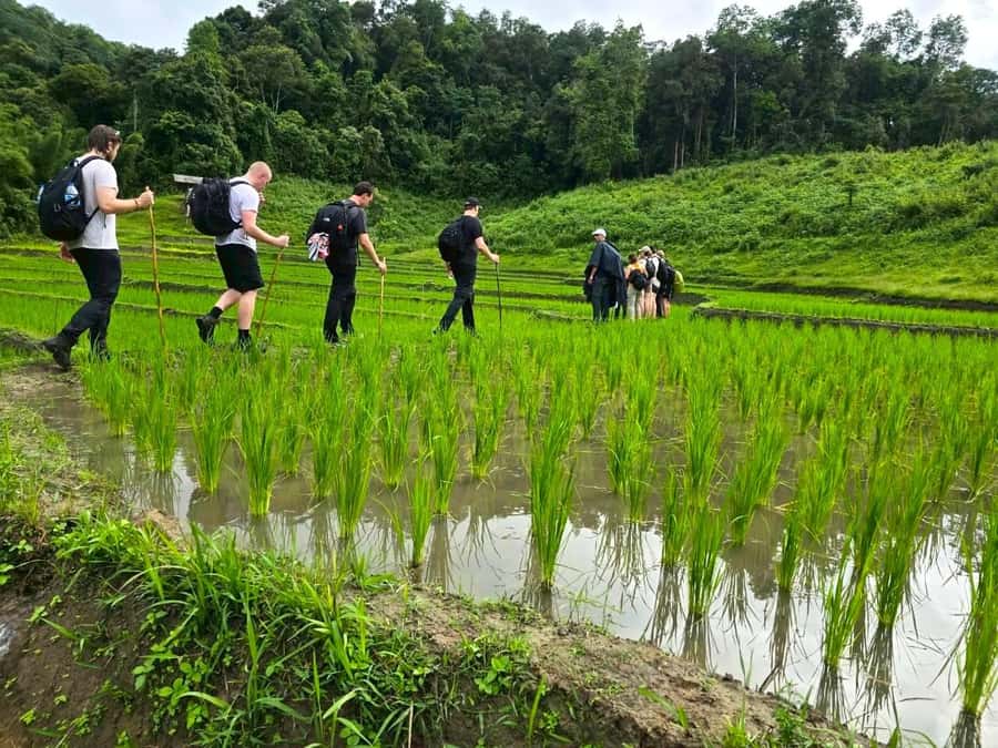 Chiang Mai: 1-Day Trekking Experience to Village & Waterfall - The first waterfall and a picnic lunch