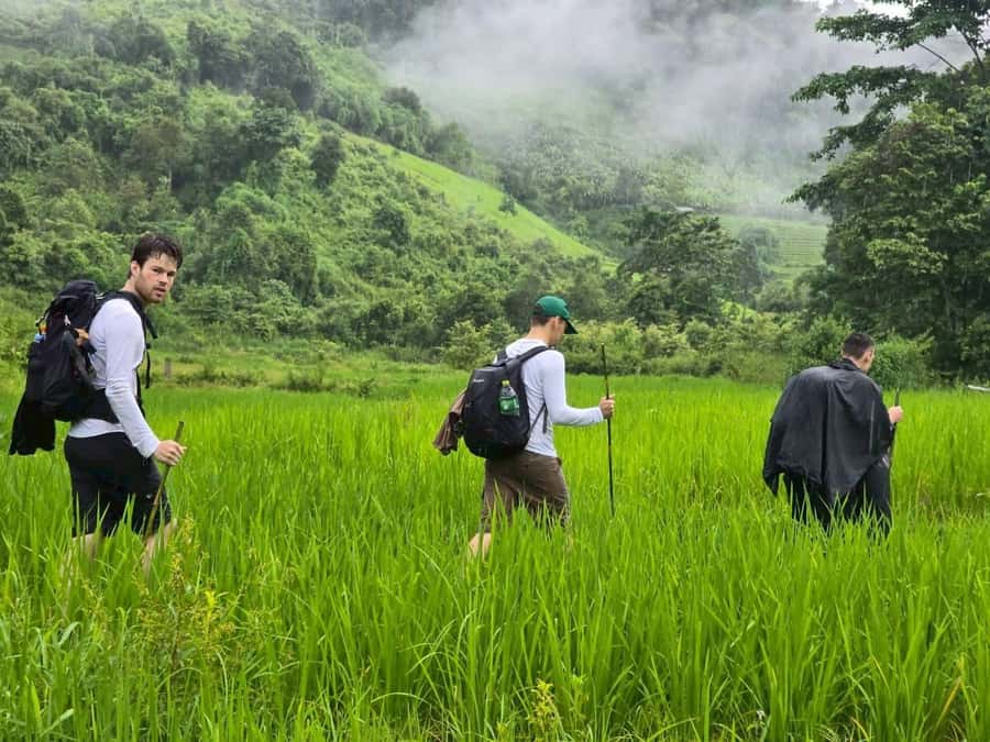 Chiang Mai: 1-Day Trekking Experience to Village & Waterfall - Afternoon walking and three more waterfalls