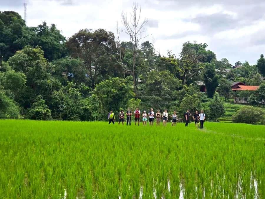 Chiang Mai: 1-Day Trekking Experience to Village & Waterfall - Practical packing advice for the 11-hour day