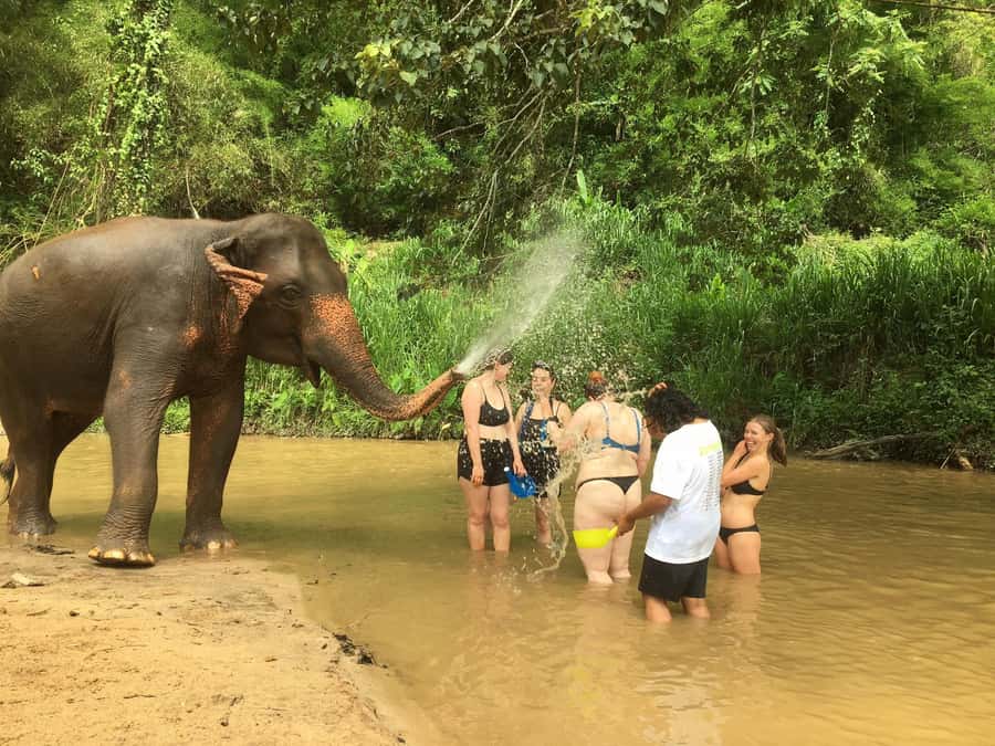 Chiang Mai: 2-Day Jungle Trek with Elephant Farm & Raft Ride - Key points to know before you book