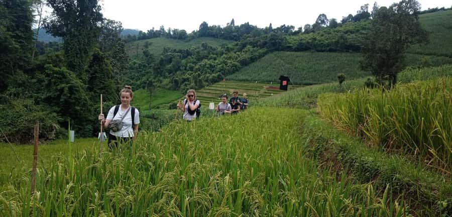Chiang Mai: 2-Day Jungle Trek with Elephant Farm & Raft Ride - The uphill walk to the Karen village