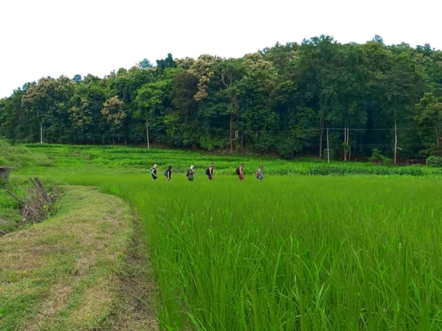 Chiang Mai: 2-Day Jungle Trek with Elephant Farm & Raft Ride - Bamboo rafting on the Mae Wang River