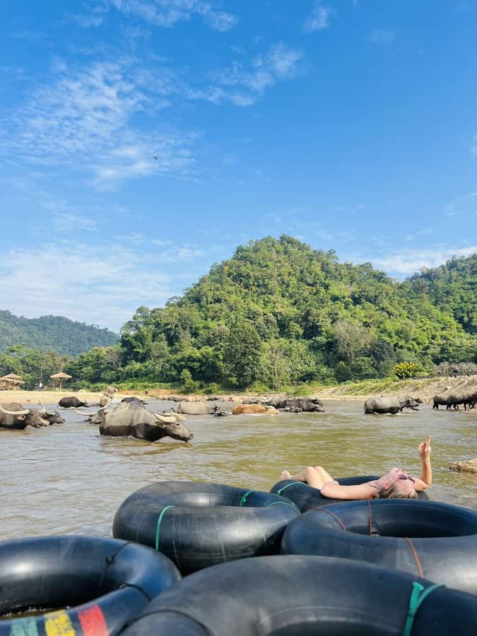 Chiang Mai 2-Day: Trekking, Tubing & Elephant Observation - Choose between elephant observation and the waterfall slide