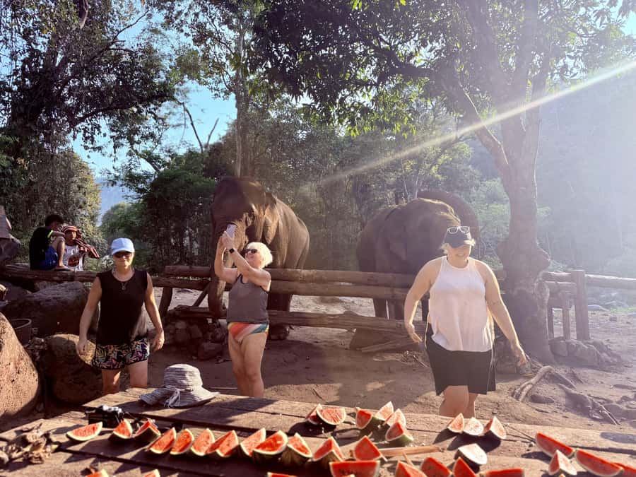 Chiang Mai 2-Day: Trekking, Tubing & Elephant Observation - A slow second morning, with optional add-ons