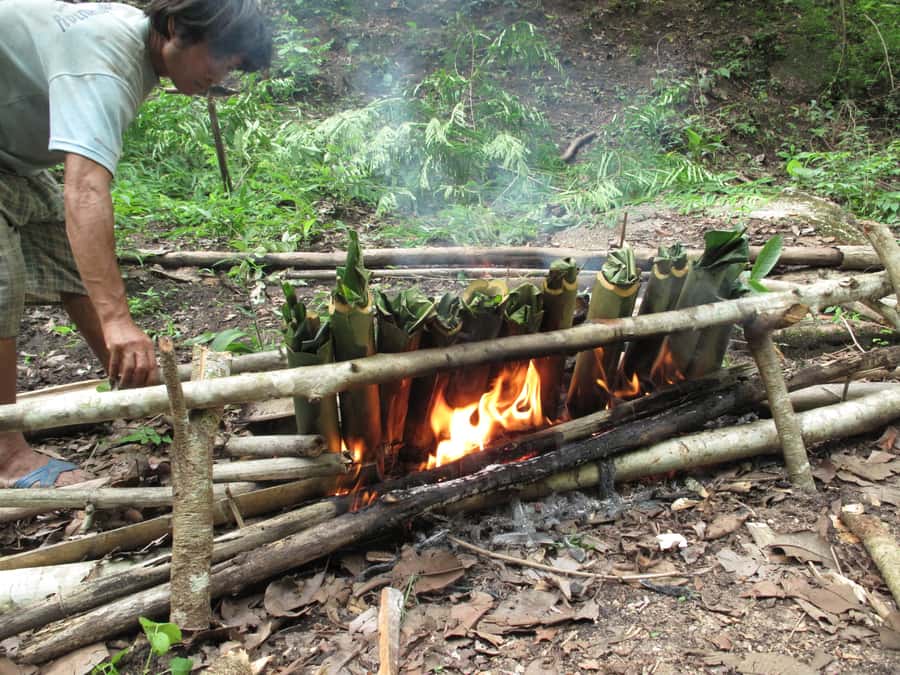 Chiang Mai: 2 Days, 1 Night Non-Tourist Trek - Key points to know before you go