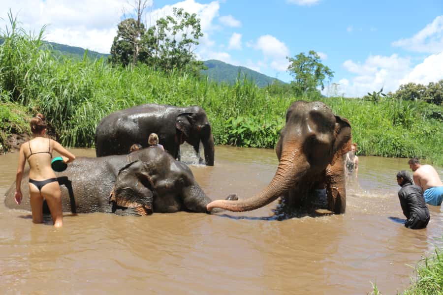 Chiang Mai: 2 Days, 1 Night Non-Tourist Trek - Waterfall swimming and a relaxed raft ride