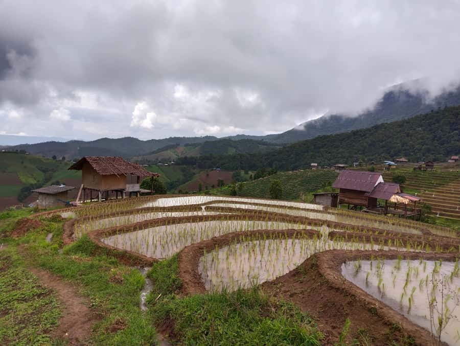 Chiang Mai: 2-Days Chiang Mai Amazing Trek - What the $108 price really covers