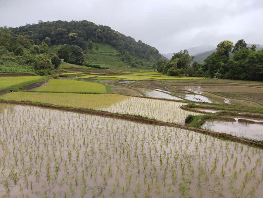 Chiang Mai: 2-Days Chiang Mai Amazing Trek - A countryside market adds everyday Thailand