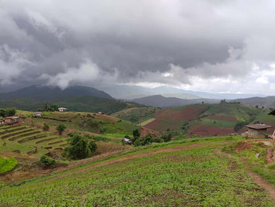 Chiang Mai: 2-Days Chiang Mai Amazing Trek - Bamboo rafting is a gentle finish