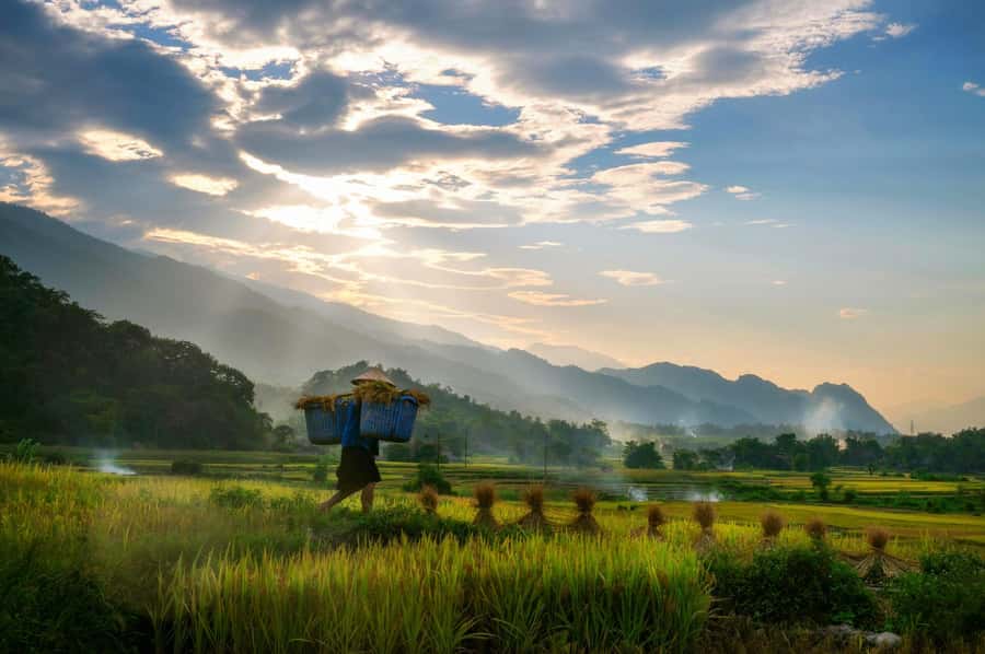 Chiang Mai: 3-Day Karen Hill Tribe Immersion with Trekking - Key points to know before you book