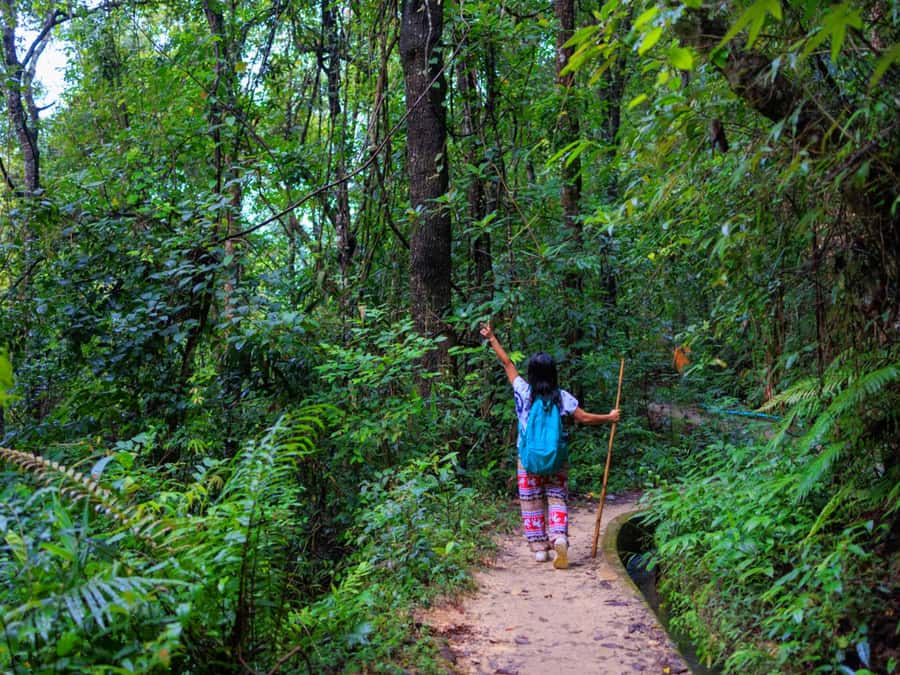 Chiang Mai: 3-Day Karen Hill Tribe Immersion with Trekking - Day 2: Forest wildlife and two Karen village stays