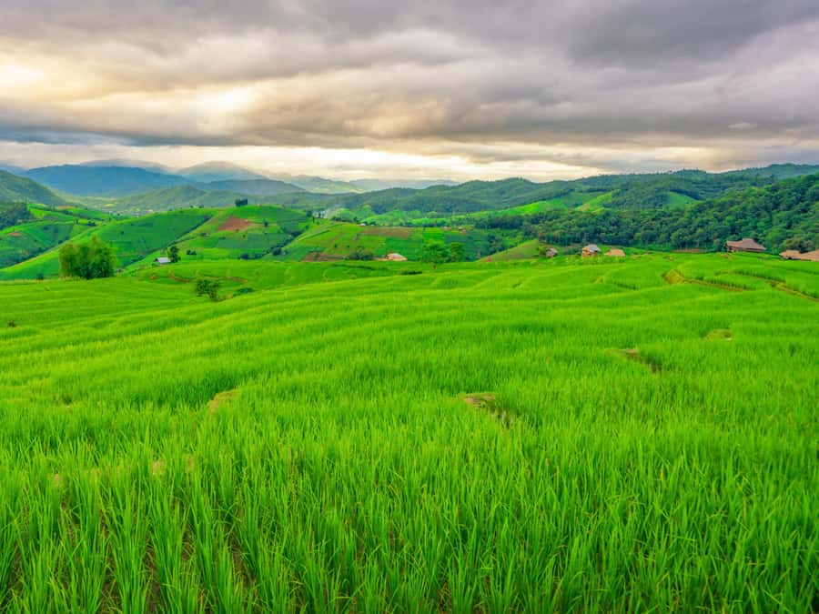 Chiang Mai: 3-Day Karen Hill Tribe Immersion with Trekking - How hard is the trekking?