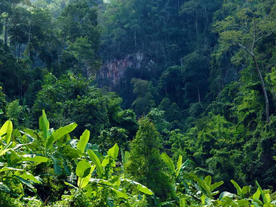 Chiang Mai: 3-Day Karen Hill Tribe Immersion with Trekking - Should you book the Karen hill tribe trek?