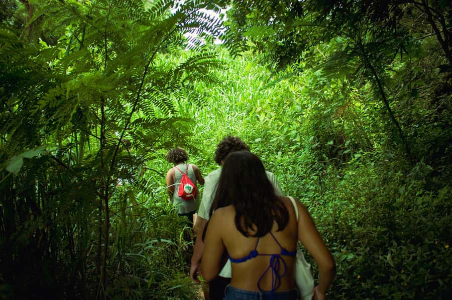 Chiang Mai: 3-Day Karen Hill Tribe Immersion with Trekking - Day 1: From Chiang Mai markets to a forest camp
