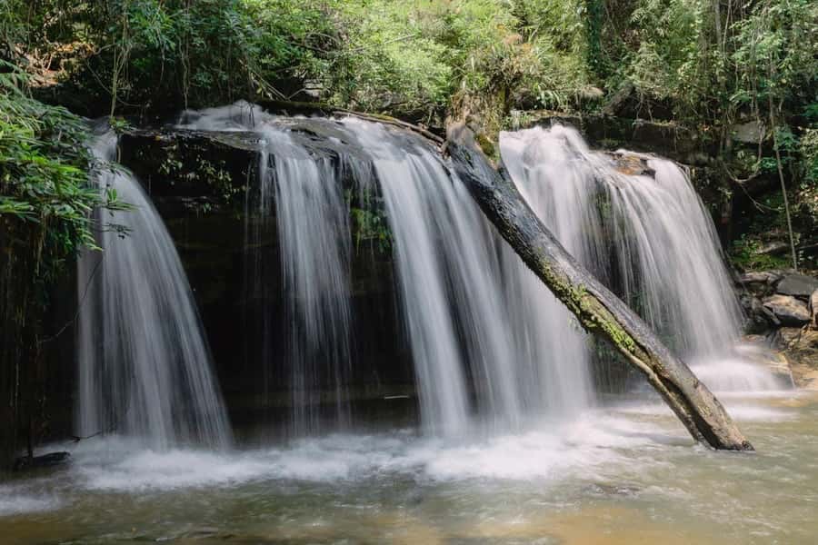 Chiang Mai: 3Days Nature&Cultural Trek in Doi Inthanon Area - Day 2: Wild plants, village food, and a slower pace