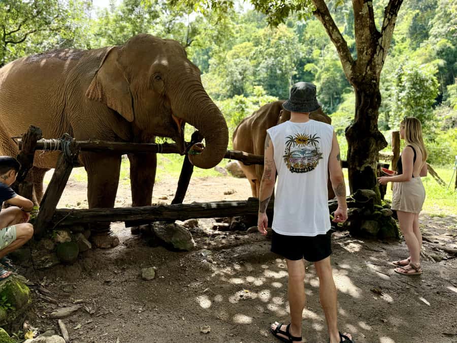Chiang Mai Adventure: Trekking, Tubing & Waterfall Slide - Who should book this adventure