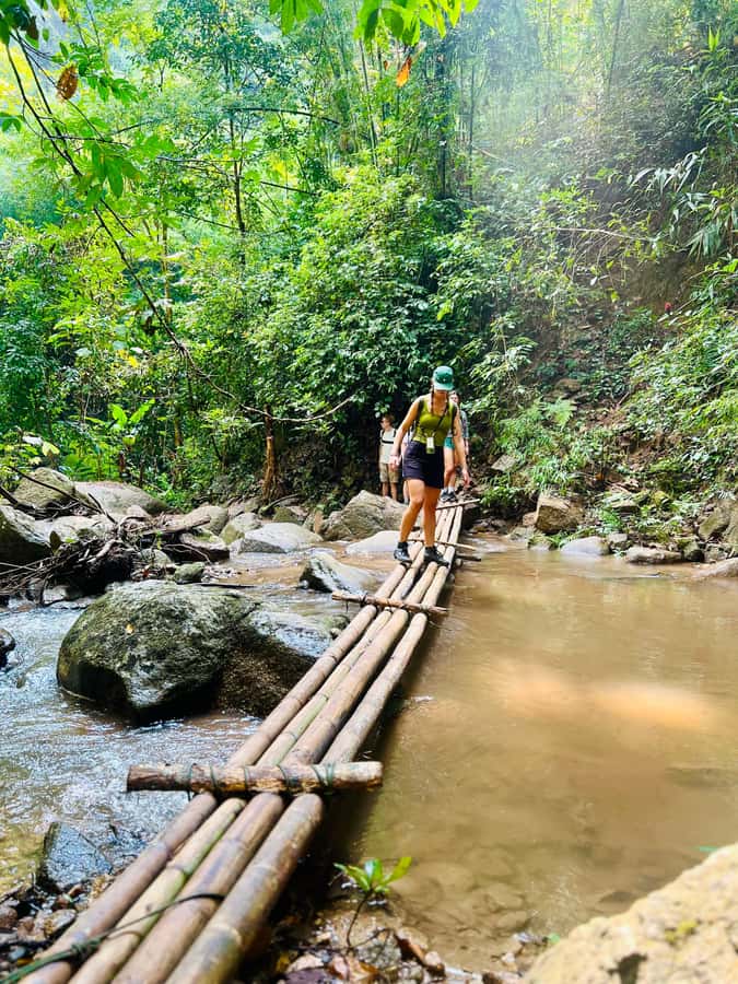 Chiang Mai Adventure: Trekking, Tubing & Waterfall Slide - The early drive from Chiang Mai to Mae Taeng