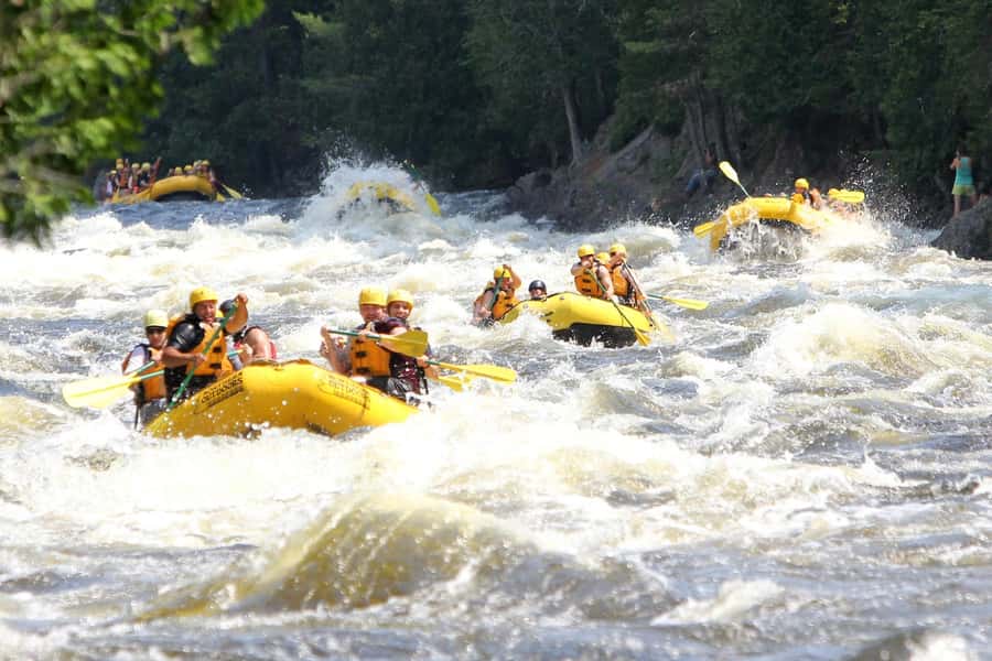 Chiang Mai ATV & White Water Rafting & Trekking to Waterfall - What this one-day adventure is really like