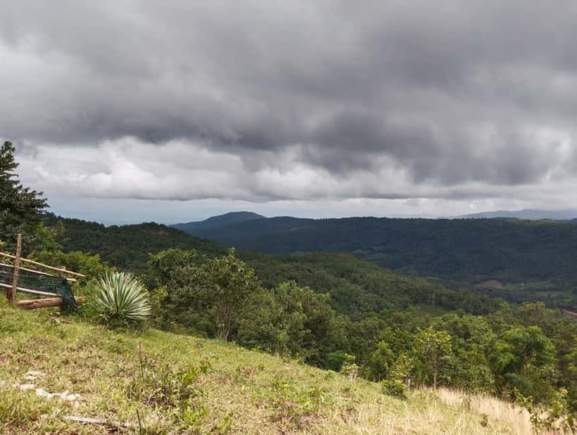 Chiang Mai Authentic Trekking - Farms, coffee, and the way back down