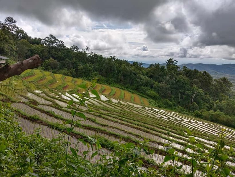 Chiang Mai Authentic Trekking - Is $57 good value?