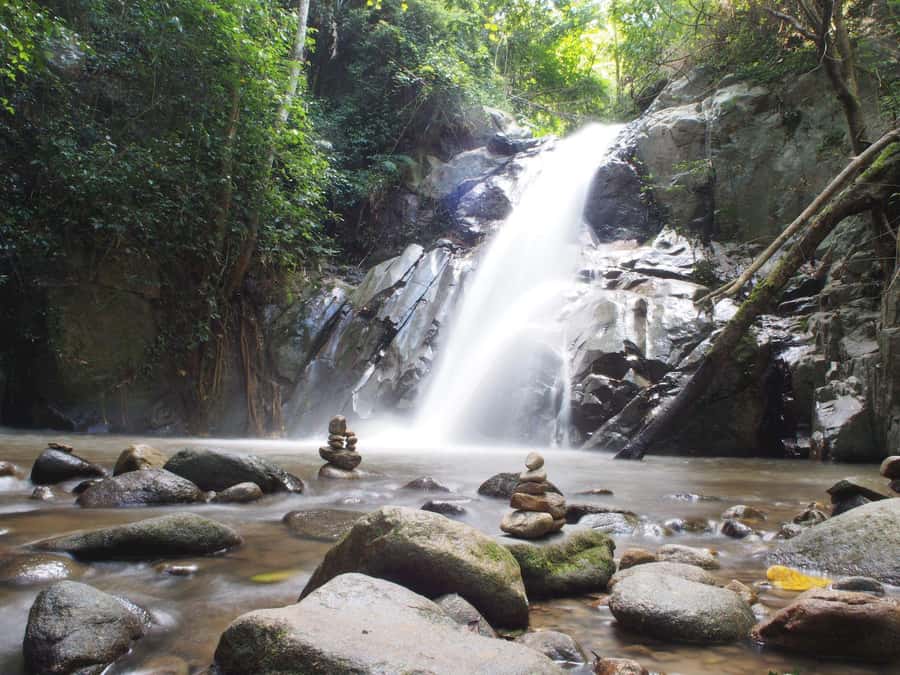 Chiang Mai: Chiang Dao Caves and Jungle Trek with Lunch - What the jungle walk demands from you