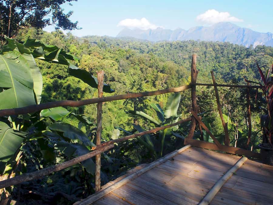 Chiang Mai: Chiang Dao Caves and Jungle Trek with Lunch - Wat Ban Den brings a bold final stop