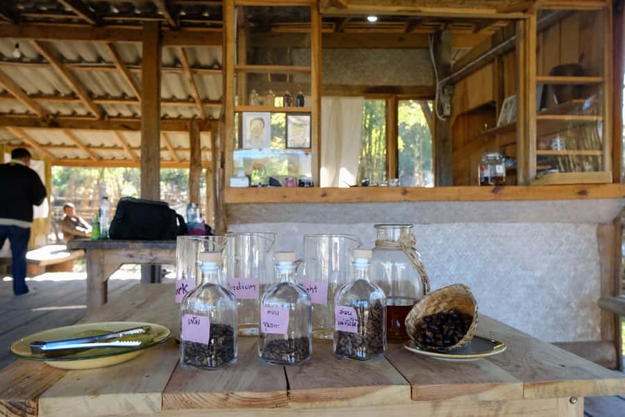 Chiang Mai Coffee Full Day Tour: Trek, Brew & Roast Journey. - Learning the V60 pour-over
