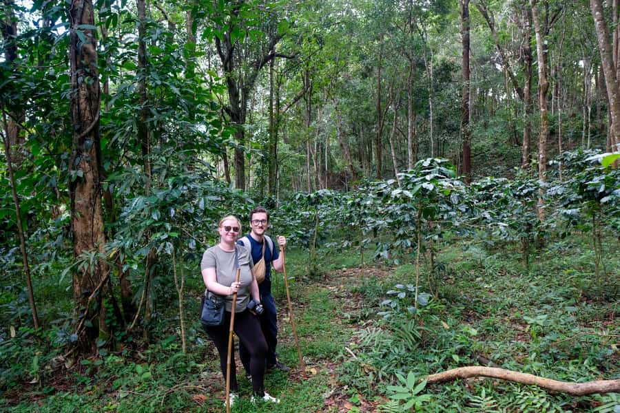 Chiang Mai Coffee Full Day Tour: Trek, Brew & Roast Journey. - A 50-minute walk through coffee country