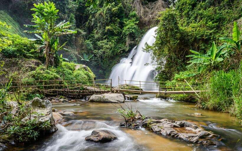 Chiang Mai: Doi Inthanon National Park and Pha Dok Siew Trek - Doi Inthanon’s cool air and high mountain views