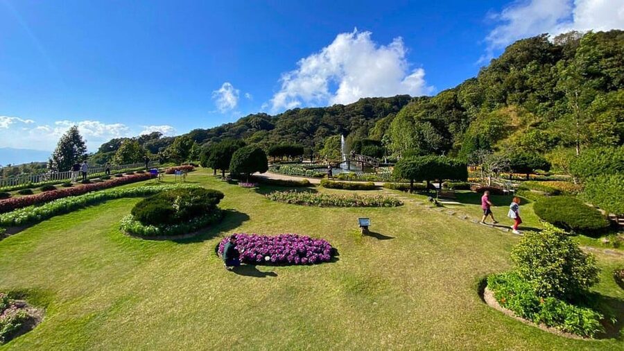 Chiang Mai: Doi Inthanon National Park and Pha Dok Siew Trek - The King and Queen Pagodas and their gardens