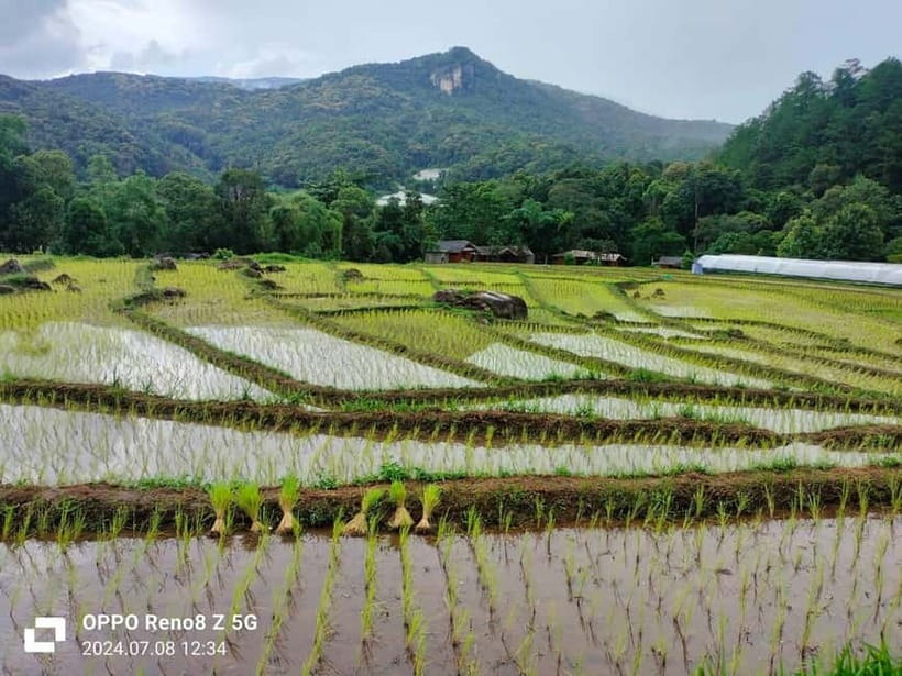 Chiang Mai: Doi Inthanon National Park+Trek Pha Dok Siew - Lunch before the Pha Dok Siew walk