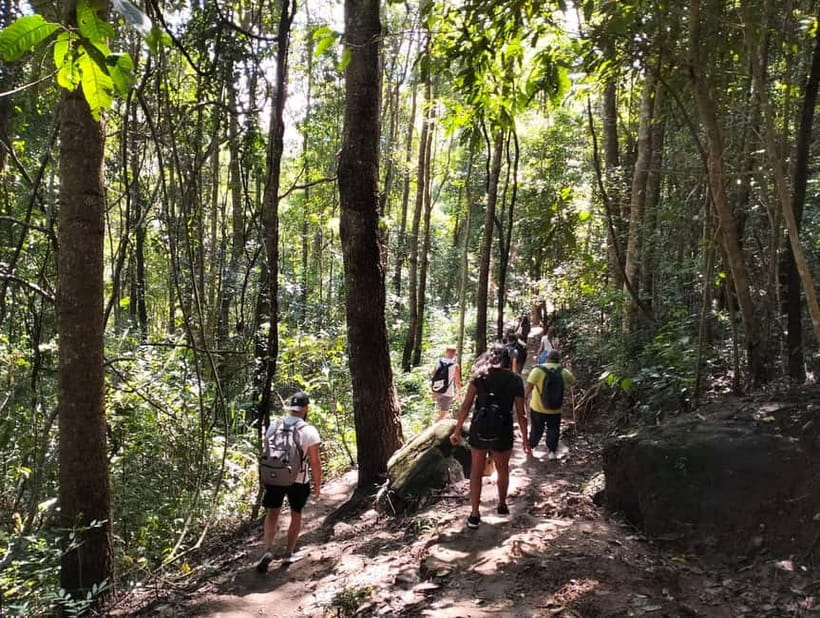 Chiang Mai: Doi Inthanon National Park+Trek Pha Dok Siew - Karen coffee, the Hmong Market, and Wachiratharn Waterfall