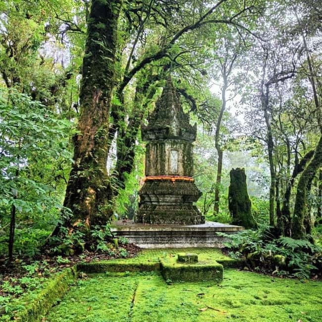 Chiang Mai: Doi Inthanon National Park+Trek Pha Dok Siew - The early pickup and ride into the mountains