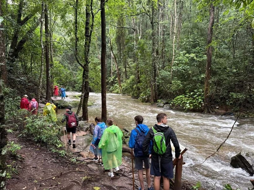 Chiang Mai: Doi Inthanon Park & 2 Hrs Trekking Pha Dok Siew - A Hmong market with a practical purpose