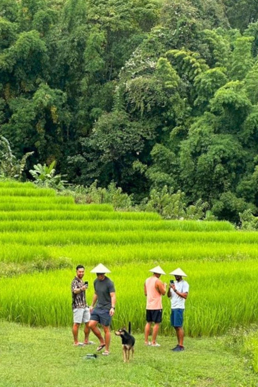 Chiang Mai: Doi Inthanon Park and Pha Dok Siew Trail Trek - A Short Stop at the Hmong Market