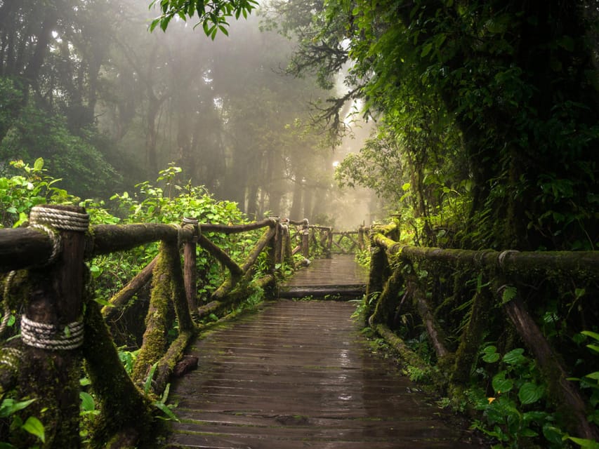 Chiang Mai: Doi Inthanon Park and Pha Dok Siew Trail Trek - Wachirathan Waterfall After Rain