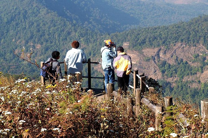 CHIANG MAI: Doi Inthanon-Trekking Keiw Mae Pan-Waterfall-Lunch - Kew Mae Pan Trail: the main reason to go