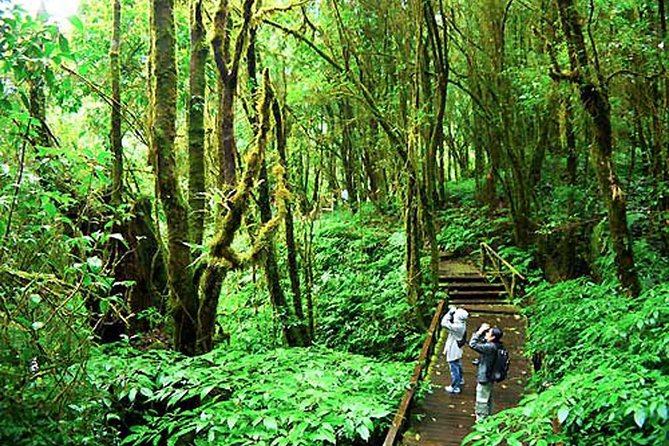 CHIANG MAI: Doi Inthanon-Trekking Keiw Mae Pan-Waterfall-Lunch - Waterfall stop and a taste of local life