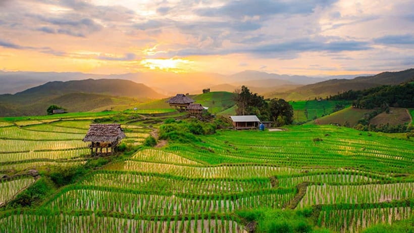 Chiang Mai: Doi Inthanon Trip with Pha Dok Siew Guided Trek - Price, park fees, and what you receive