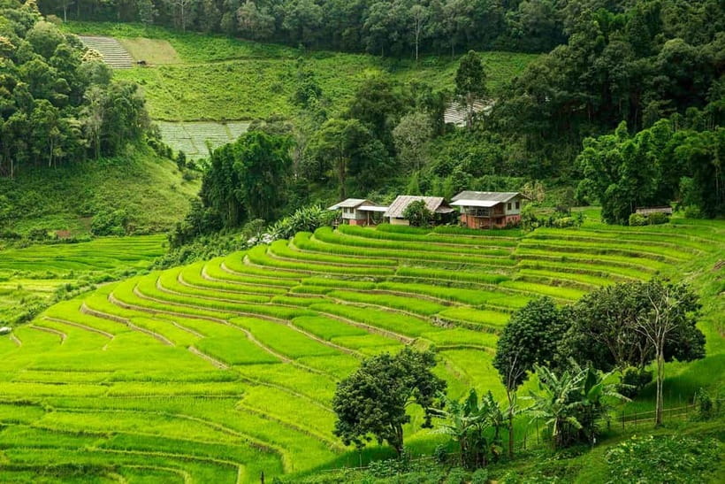 Chiang Mai: Doi Inthanon Trip with Pha Dok Siew Guided Trek - Why Doi Inthanon feels different from Chiang Mai