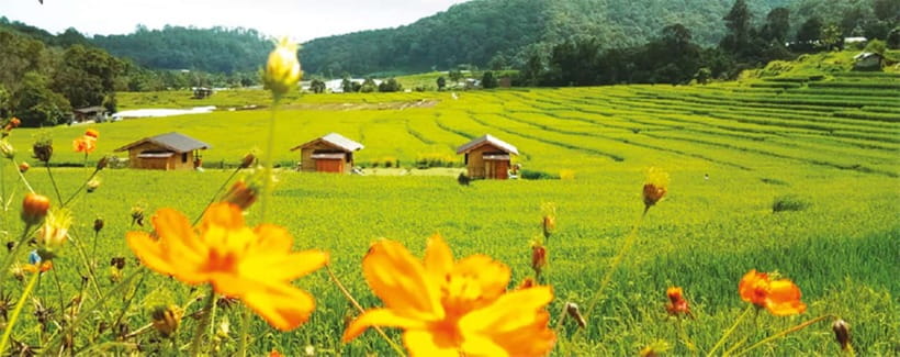 Chiang Mai: Doi Inthanon Trip with Pha Dok Siew Guided Trek - Pha Dok Siew is the heart of the day